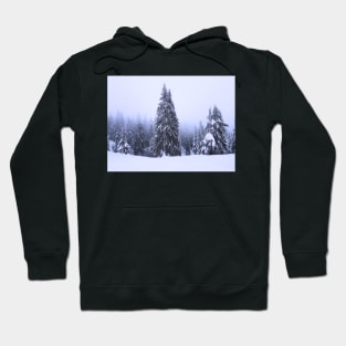 A Pine Forest in Winter Hoodie